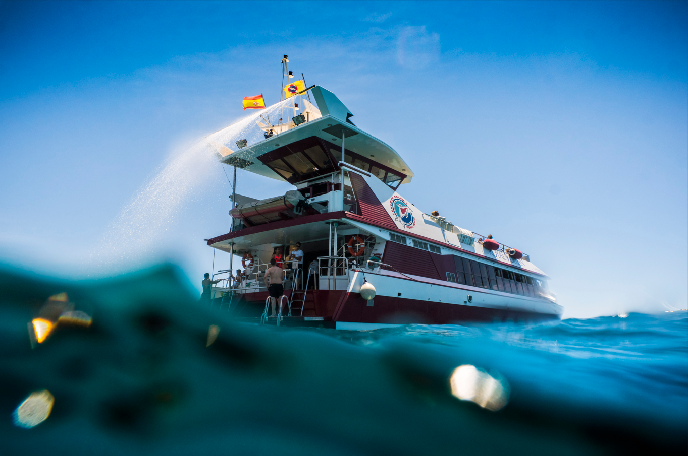 Royal Delfin Tenerife